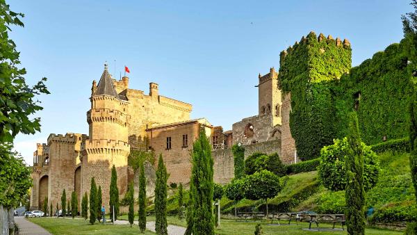 Olite Castle from the back with its towers and wall